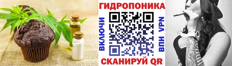 купить наркотик  Светлоград  Cannafood конопля 