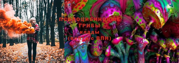 эйфоретик Балахна