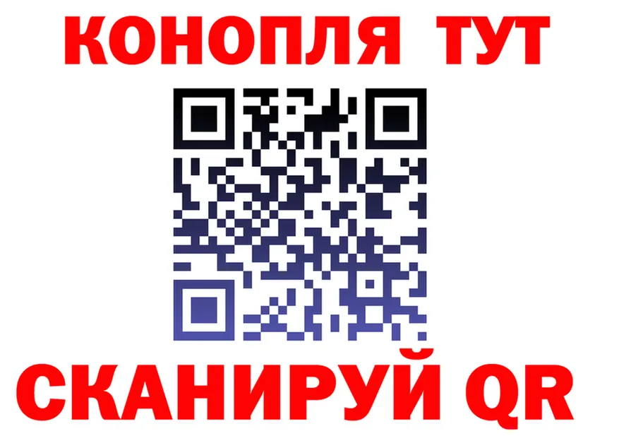 APVP СК КРИС вход площадка гидра Светлоград