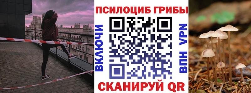 Псилоцибиновые грибы мицелий  ссылка на мегу ONION  Светлоград 
